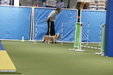 Enlarge photo 98