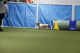Enlarge photo 93