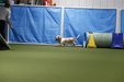 Enlarge photo 92