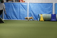 Enlarge photo 54