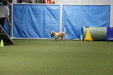 Enlarge photo 53