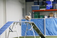 Enlarge photo 49