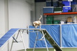 Enlarge photo 47