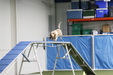 Enlarge photo 46