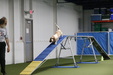 Enlarge photo 44