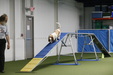 Enlarge photo 43