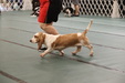 Enlarge photo 41