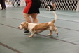 Enlarge photo 42