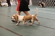 Enlarge photo 39