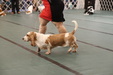 Enlarge photo 36