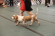 Enlarge photo 35