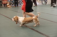 Enlarge photo 34