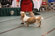 Enlarge photo 32