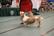 Enlarge photo 31
