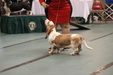 Enlarge photo 30
