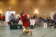 Enlarge photo 29