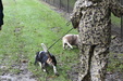 Enlarge photo 30