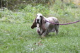 Enlarge photo 22