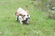 Enlarge photo 11