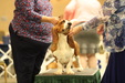 Enlarge photo 112