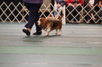 Enlarge photo 84