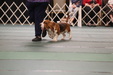 Enlarge photo 82