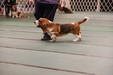 Enlarge photo 52