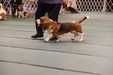 Enlarge photo 53