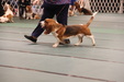 Enlarge photo 50