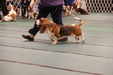 Enlarge photo 51