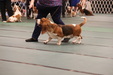 Enlarge photo 49