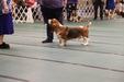 Enlarge photo 47