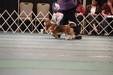 Enlarge photo 36