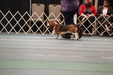 Enlarge photo 34