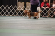 Enlarge photo 33