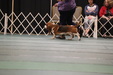 Enlarge photo 29