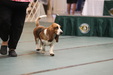 Enlarge photo 49
