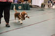 Enlarge photo 42