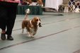 Enlarge photo 40