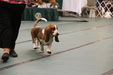 Enlarge photo 39