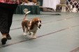 Enlarge photo 38