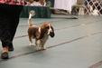 Enlarge photo 37