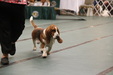 Enlarge photo 36