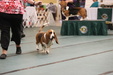 Enlarge photo 33