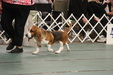 Enlarge photo 14