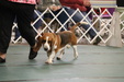Futurity