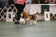 Enlarge photo 92