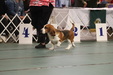 Enlarge photo 91