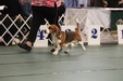 Enlarge photo 89