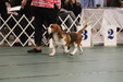 Enlarge photo 87